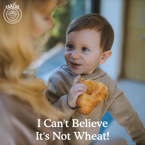 Organic Cassava Flour – Gluten-Free & All-Purpose