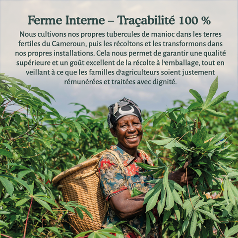 Farine de manioc biologique