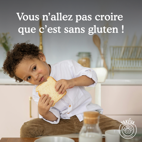 Farine de manioc biologique