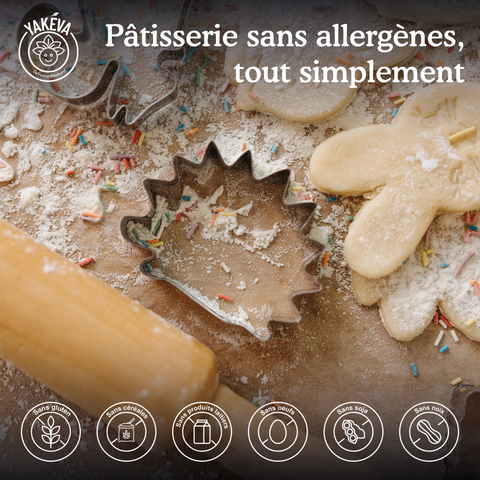 Farine de manioc biologique