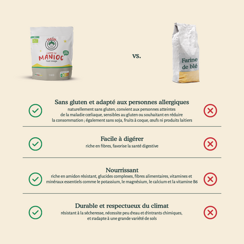 Farine de manioc biologique